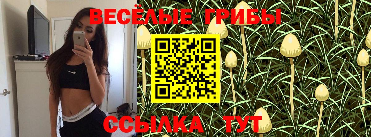 Галлюциногенные грибы Cubensis  Вход с VPN  Новодвинск 